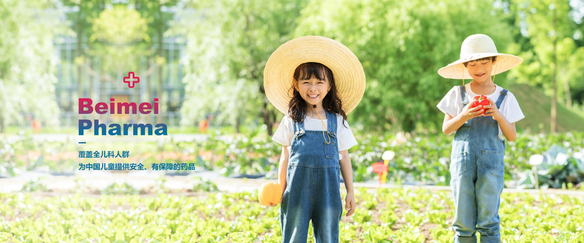 2022年11月貝美藥業(yè)自主研發(fā)的又一個(gè)品種，獲得生產(chǎn)許可B證！